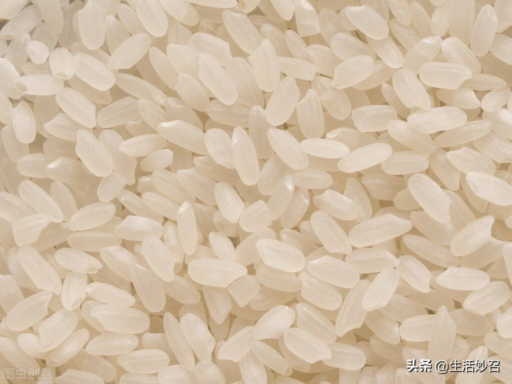 粳米和大米的区别（买大米，挑"粳米"还是"大米"？营养差别大，学会可别乱买了） | 说明书网
