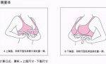 不知道自己内衣穿什么尺码？