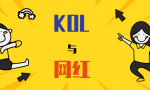 kol是什么职业（KOL与网红有什么区别）缩略图