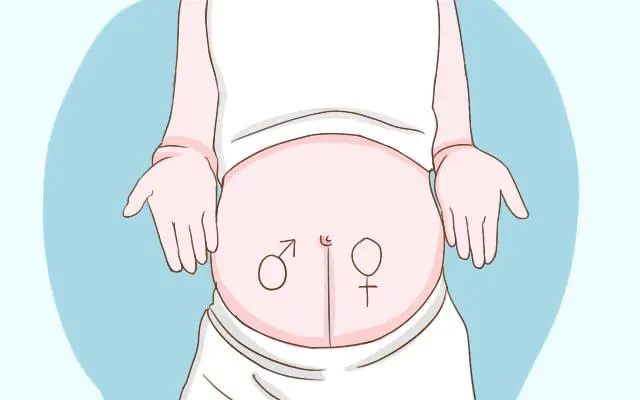 有什么方法判断是否怀孕（主要通过这4种方式判断）插图