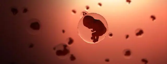 怎样自测胎儿是否活着（讲解隔着肚皮医生是这么判断胎儿是否存活）插图1