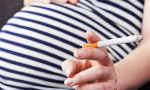 抽烟会影响怀孕吗（值得收藏的备孕科普）缩略图
