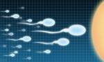 精子在女性体内能存活多久（小小知识点让备孕更轻松）缩略图