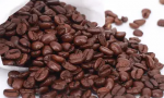 哥伦比亚咖啡豆风味怎样（咖啡文明来细读）缩略图