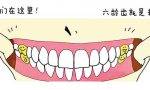 小孩子的大牙会不会换（儿童牙齿健康要关注）缩略图
