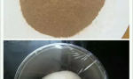 酵母发面比例的是多少（分享面粉的发酵技巧）缩略图