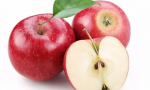 苹果有什么营养价值（分享苹果的食疗价值）缩略图